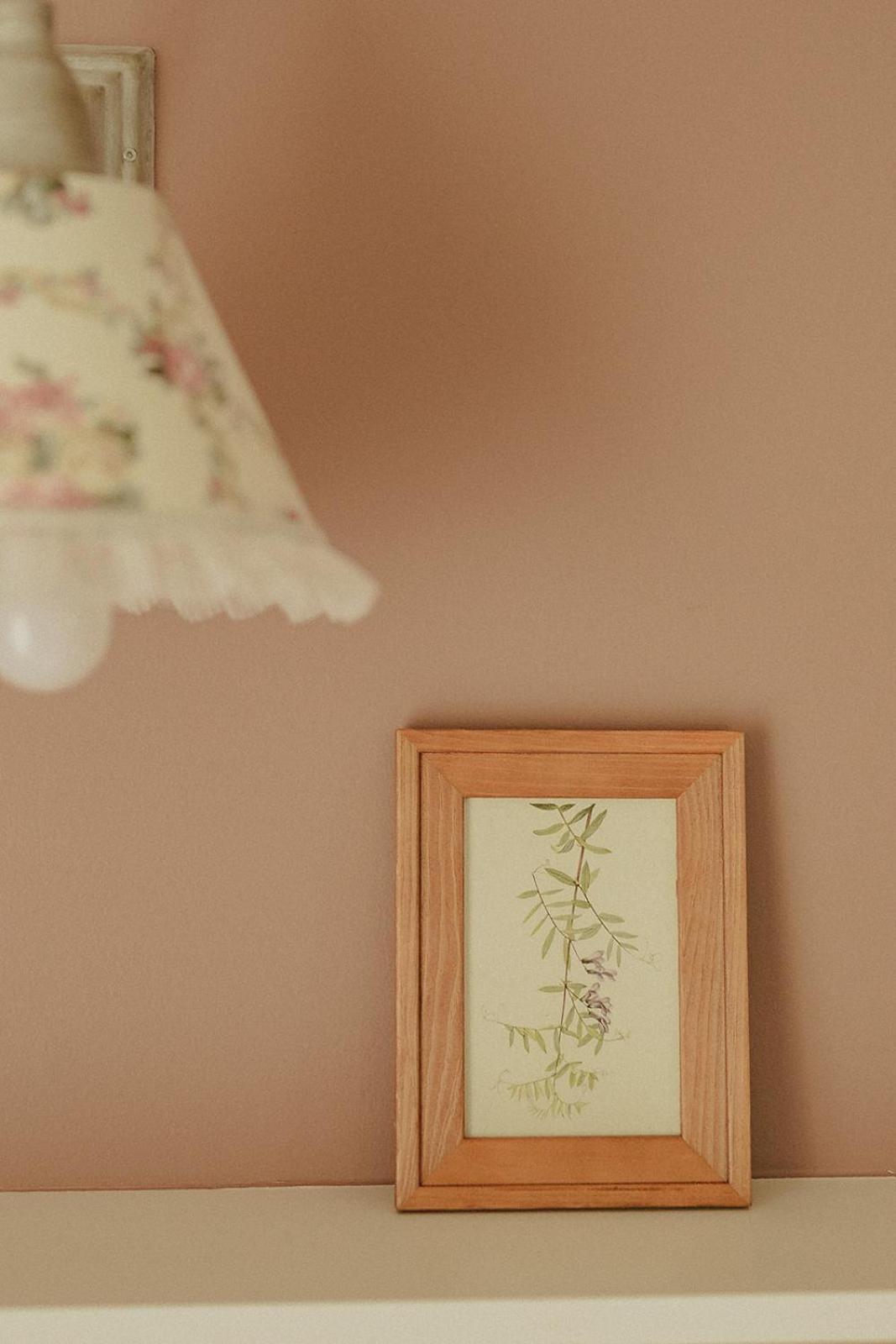 Domaine De Bassibe Bed & Breakfast Segos ภายนอก รูปภาพ