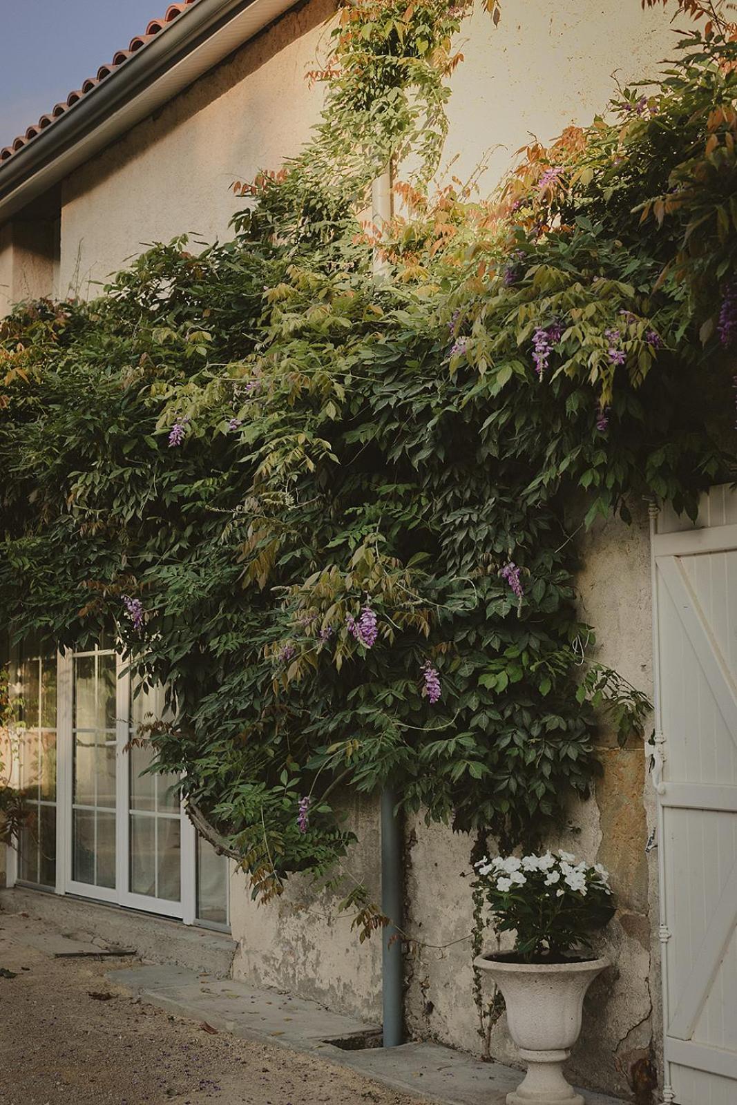 Domaine De Bassibe Bed & Breakfast Segos ภายนอก รูปภาพ