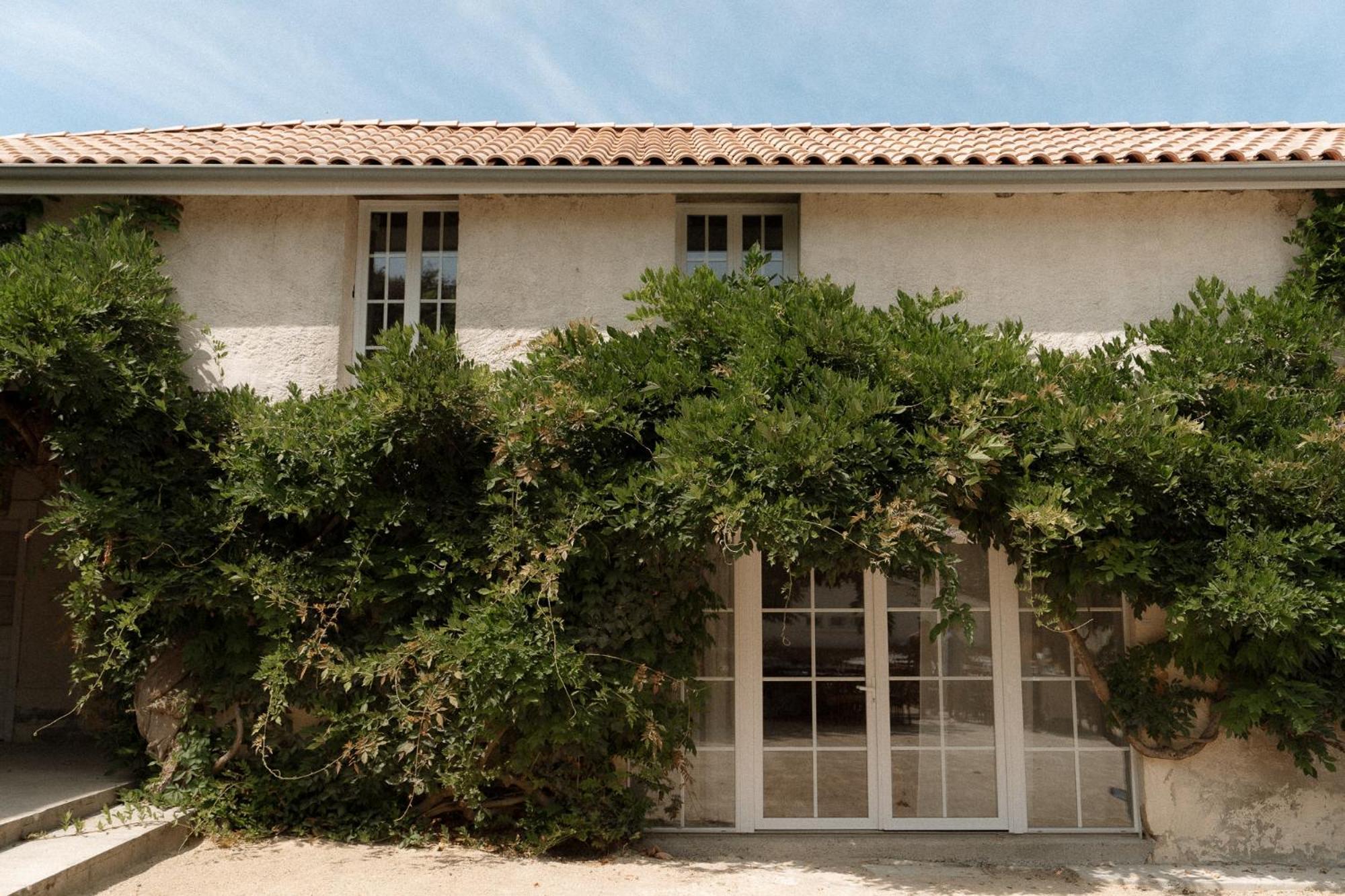 Domaine De Bassibe Bed & Breakfast Segos ภายนอก รูปภาพ